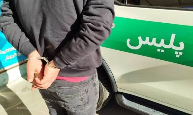 سارقان و قاچاقی چلم در مهدیشهر دستگیر شدند سارقان و قاچاقی چلم در مهدیشهر دستگیر شدند