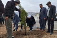 پویش کاشت درخت در شهمیرزاد همزمان با روز درختکاری