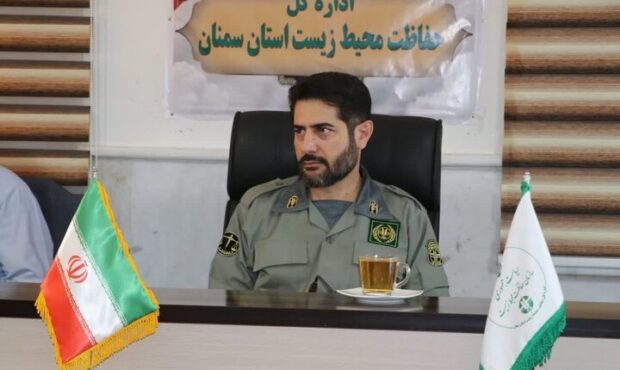 آغاز فصل گاو بانگی در استان سمنان؛ نغمه عشق و بقا در جنگل هیرکانی ابر آغاز فصل گاو بانگی در استان سمنان؛ نغمه عشق و بقا در جنگل هیرکانی ابر