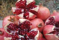 از دون کردن تا قل زدن؛ مراحل پخت رب انار باکیفیت درجزین