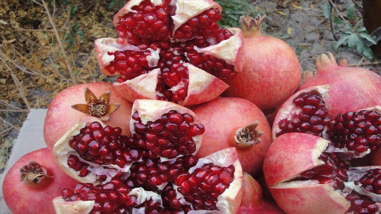 از دون کردن تا قل زدن؛ مراحل پخت رب انار باکیفیت درجزین