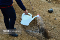 معاون اقتصادی استاندار سمنان کاروانسراها را ظرفیت مغفول در حوزه گردشگری استان خواند و گفت: طرح توجیهی سرمایه گذاری کاروانسراها باید تدوین شود.