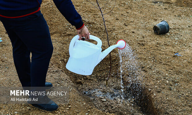 معاون اقتصادی استاندار سمنان کاروانسراها را ظرفیت مغفول در حوزه گردشگری استان خواند و گفت: طرح توجیهی سرمایه گذاری کاروانسراها باید تدوین شود. معاون اقتصادی استاندار سمنان کاروانسراها را ظرفیت مغفول در حوزه گردشگری استان خواند و گفت: طرح توجیهی سرمایه گذاری کاروانسراها باید تدوین شود.