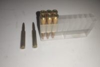 شکارچیان متخلف در پناهگاه حیات‌وحش «صیدوا» به دام افتادند