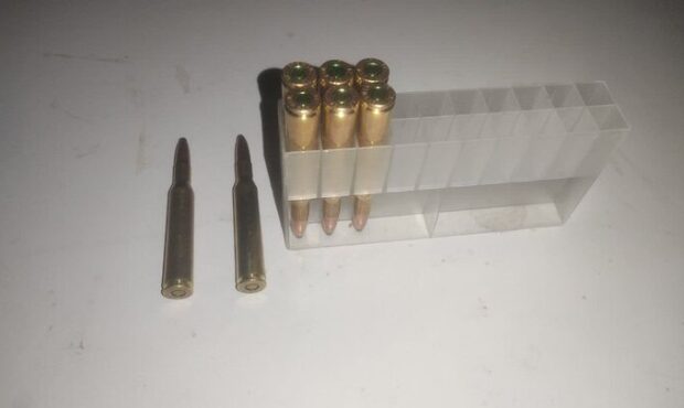 شکارچیان متخلف در پناهگاه حیاتوحش «صیدوا» به دام افتادند شکارچیان متخلف در پناهگاه حیاتوحش «صیدوا» به دام افتادند