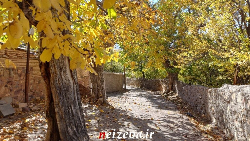 شهمیرزادِ هزاررنگ در آغوش پاییز