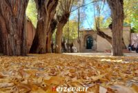 شهمیرزادِ هزاررنگ در آغوش پاییز