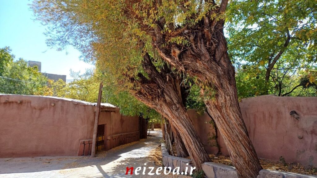 شهمیرزادِ هزاررنگ در آغوش پاییز