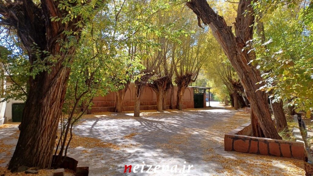 شهمیرزادِ هزاررنگ در آغوش پاییز