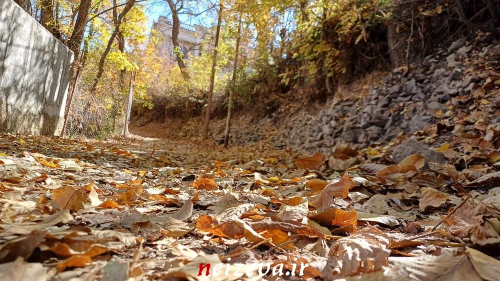 شهمیرزادِ هزاررنگ در آغوش پاییز