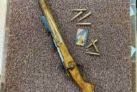 کشف سلاح شکاری غیرمجاز در شهرستان مهدیشهر