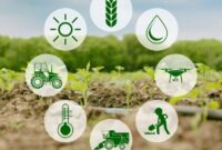 فناوری‌های نوین تولید در مزارع سمنان توسعه می‌یابد