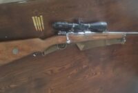 شکار غیرمجاز در مهدیشهر خنثی شد؛ دستگیری ۳ متخلف