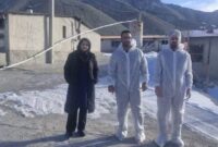 راستی‌آزمایی جوجه‌ریزی در مرغداری‌های مهدیشهر