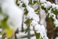 برف و باران مهمان سمنانی‌ها خواهد بود