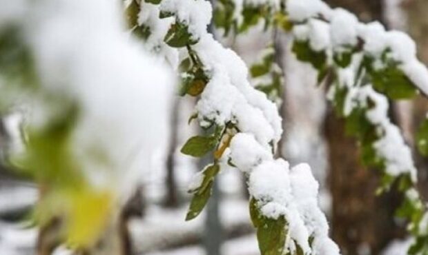 برف و باران مهمان سمنانی‌ها خواهد بود