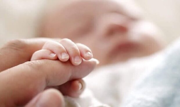 حفظ حیات ۵۴۷ جنین در استان سمنان