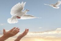 آزادی ۱۲ زندانی محکوم مالی در زندان‌های سمنان