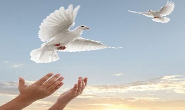 آزادی ۱۲ زندانی محکوم مالی در زندان‌های سمنان