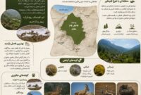 از مرال و پلنگ تا مار کبری؛ ماجراجویی در نزدیکی شهمیرزاد