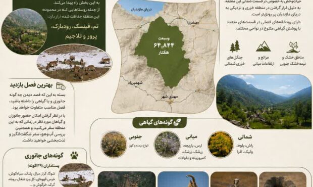 از مرال و پلنگ تا مار کبری؛ ماجراجویی در نزدیکی شهمیرزاد