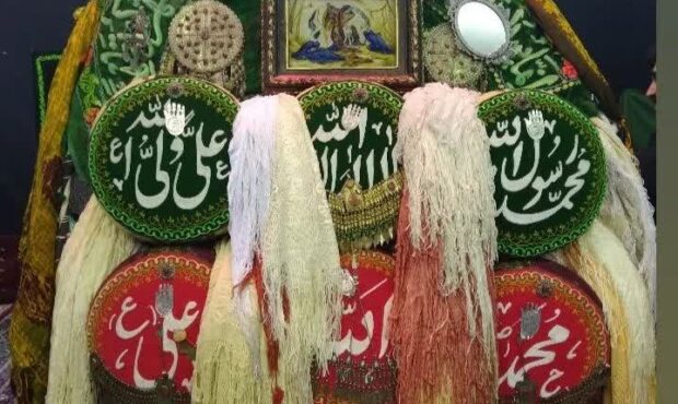 نخل ۷۰۰ ساله «مَفه» در مهدیشهر جامه عزا بر تن کرد نخل ۷۰۰ ساله «مَفه» در مهدیشهر جامه عزا بر تن کرد
