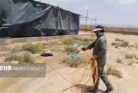 ضدعفونی ستاد بدرقه مهدیشهر برای میزبانی بهداشتی از زائران شهید