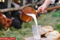 رشد ۲۱۰ درصدی ابتلا به تب مالت در مهدیشهر